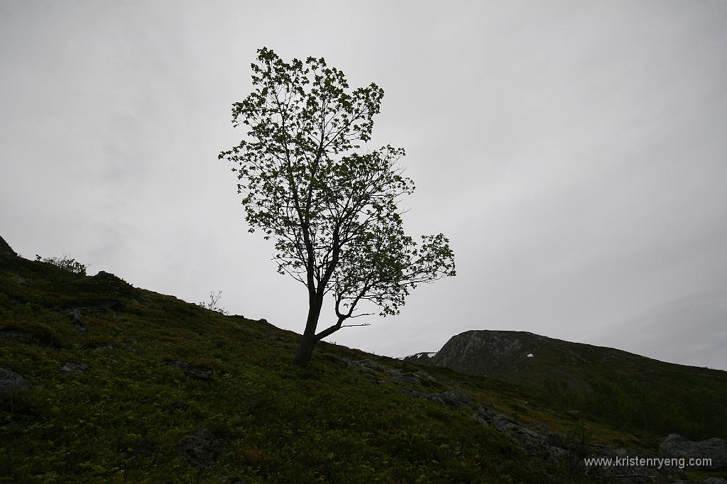 IMG_0006.JPG - Etter hvert noe spredt vegetasjon.