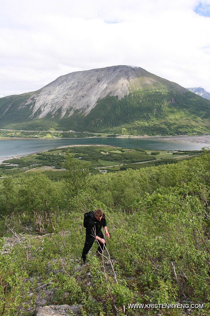 IMG_0010.JPG - Nicolay jobber seg ut av skogen. Perstinden i bakgrunnen.