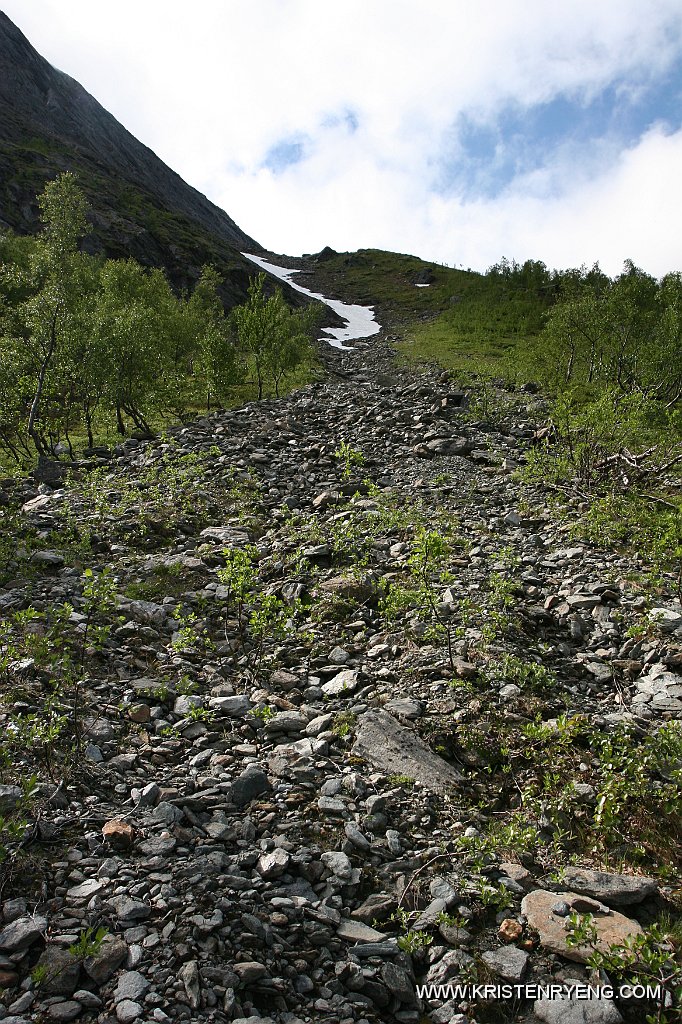 IMG_0012.JPG - Ute av skogen. Traseen videre går på høyre siden av snøfeltet.