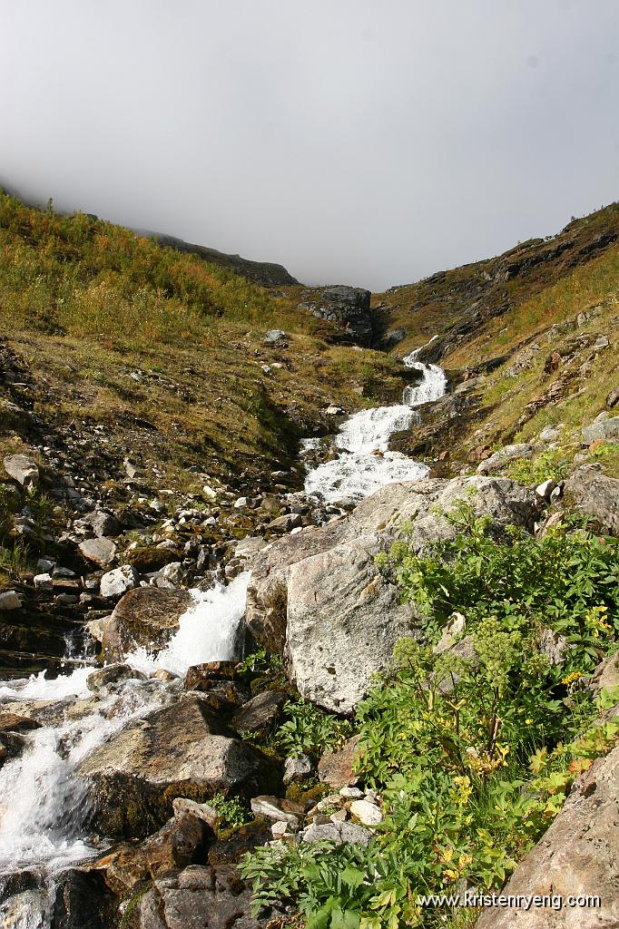 IMG_0054.JPG - ...og utsikt opp langs bekkedalen.