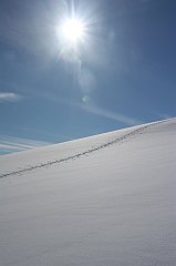 IMG_0060
