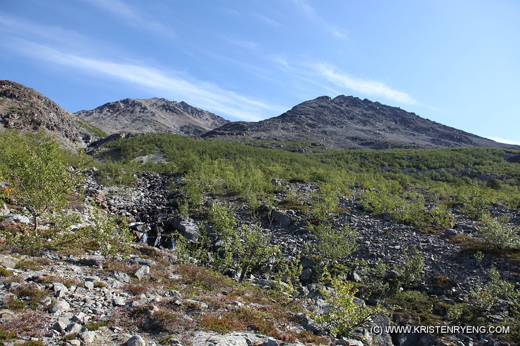 IMG_0448.JPG - Spredt vegetasjon på grus og steinur oppsummerer igrunn underlaget hele veien opp.