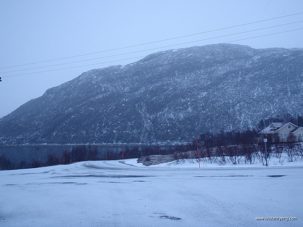 P2020002.JPG - Trehørningen sett fra Skulsfjorden