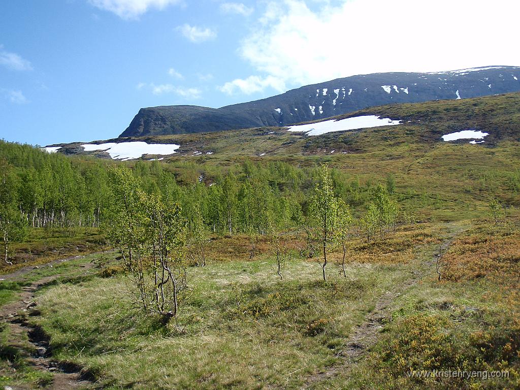 P6290491.JPG - Veien videre mot toppen; først langs høyre billedkant langs stien, deretter på tvers mot venstre billedkant og deretter langs fjellryggen fra venstre mot høyre mot toppen. Enkelt forklart ikke sant?