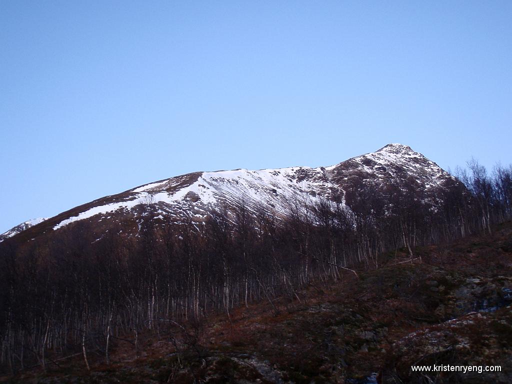 PB110020.JPG - På motsatt side av Langdalen ses Langdaltinden (928 moh).