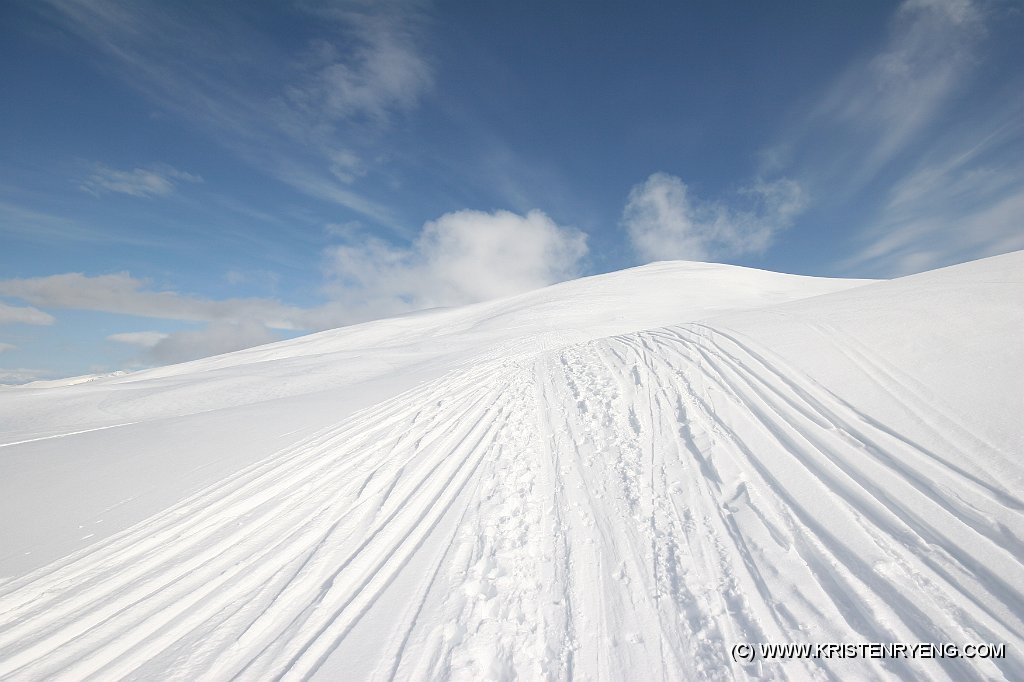 IMG_0460.JPG - Enorme mengder spor i fjellet.