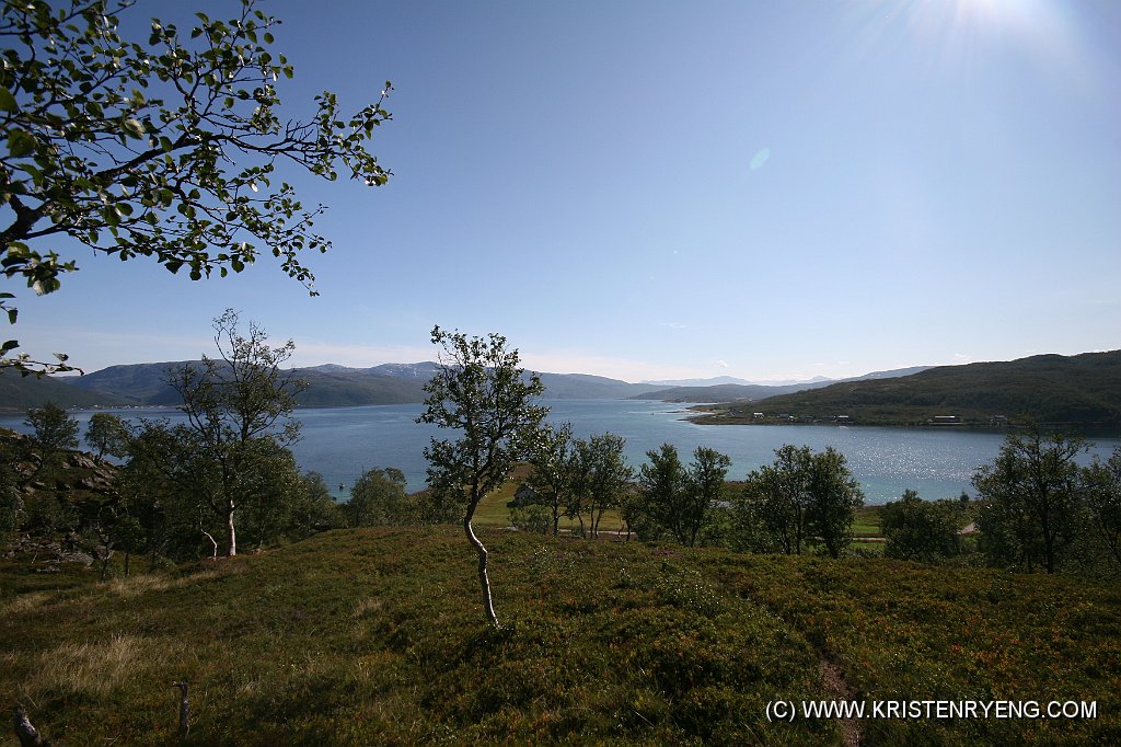 IMG_0016.JPG - Stien opp fra Kvaløyvågen.