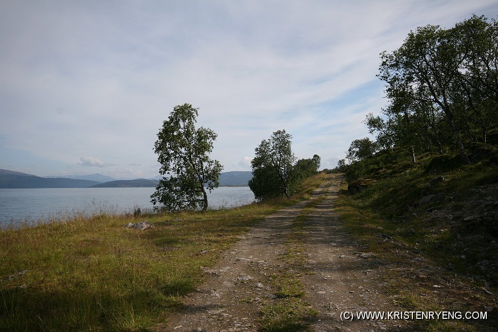 IMG_0335.JPG - Fra Kvaløyvågen går det en skogsbilvei inn til Indre Kibergneset. Total distanse litt over 2 km.