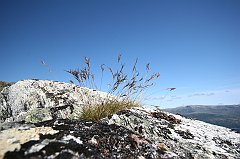 IMG_0128