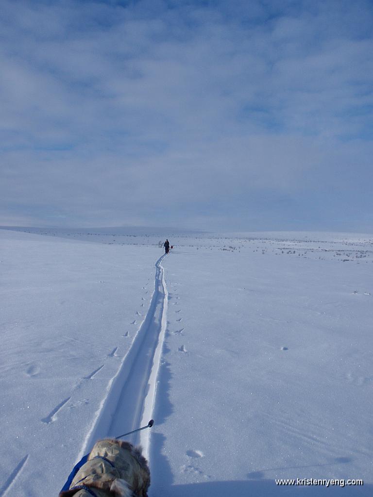 P3040118.JPG - På vei ned av vidda blir snøen løsere og fremkommeligheten noe tyngre.