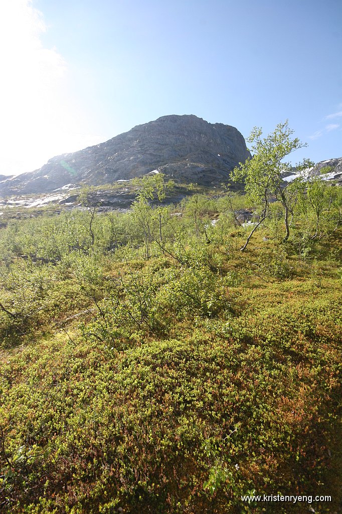 IMG_0049.JPG - Fjellryggen på østsiden av Storsteindalen leder mot Leirholstinden og Storsteinnestindan.